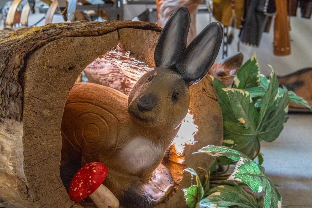 Bilder Drachengrube GmbH & Co. KG