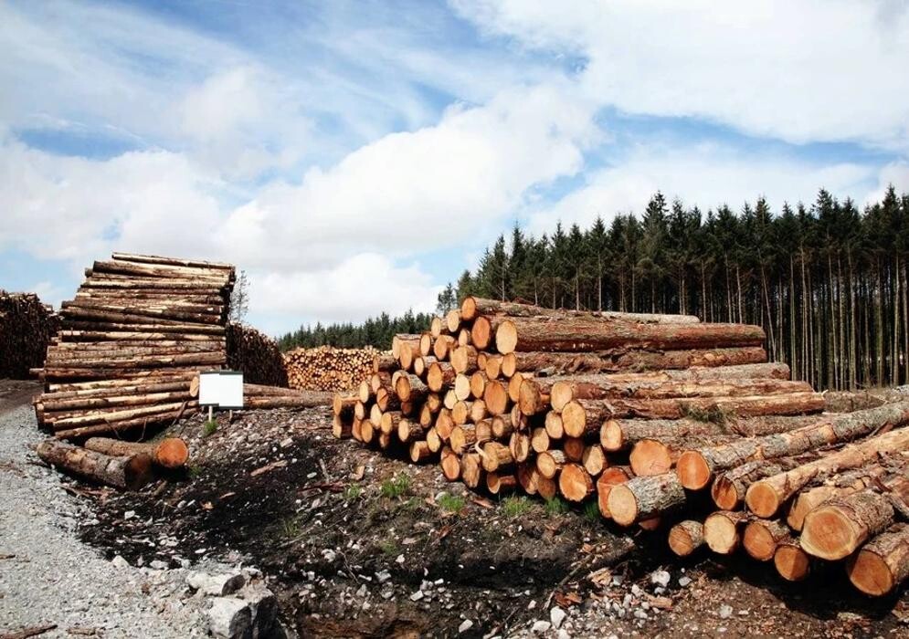 Bilder Oldoak - Altholz Manufaktur Rosenheim