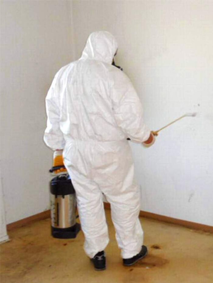 Bilder Schädlingsbekämpfung Schemeth GmbH