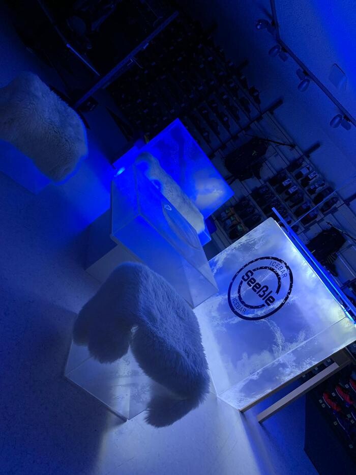 Bilder Sport + Mode Wolfgang Seeßle e.K.