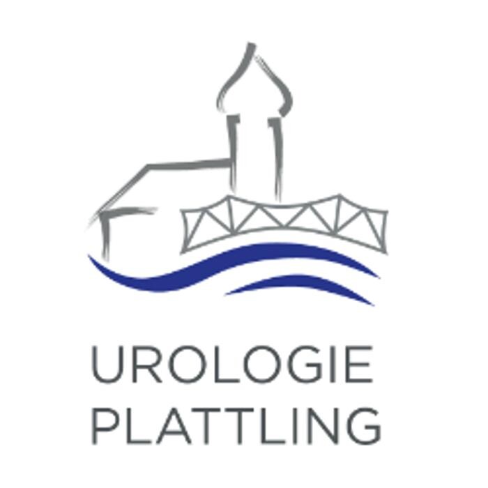 Dr. med. Christoph Auge, Prof. Dr. med. Daniel C. Vergho, Dr. med. Philipp Spachmann Logo