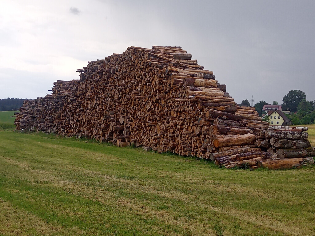 Bilder Hackschnitzel Mark Josef    Josef Mark