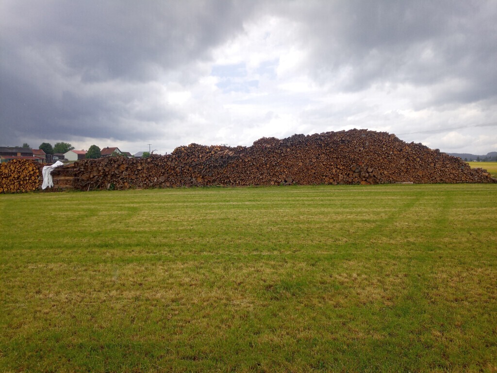 Bilder Hackschnitzel Mark Josef    Josef Mark