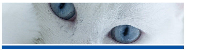 Bilder Kleintierpraxis am Heerbusch GmbH