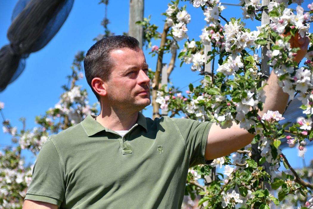 Bilder Obsthof Brennerei Böhm - Dettelbach