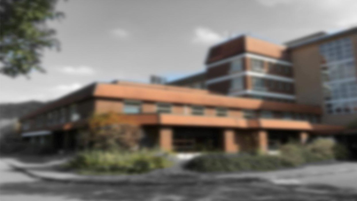 Bilder Grünwald Shop Service Grossobjektauflösung