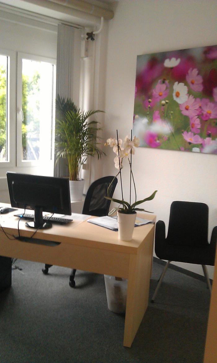 Bilder IBB Institut für Berufliche Bildung AG