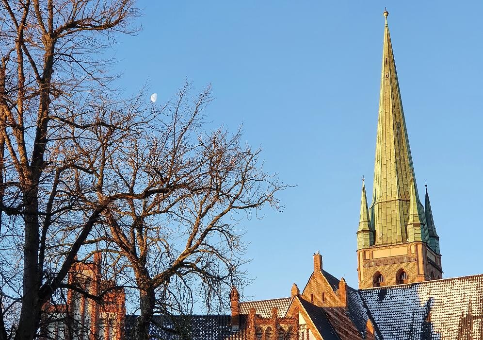 Bilder die stadtstreiferei