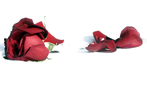 Bilder Bestattungshaus Ralf Hexamer GmbH