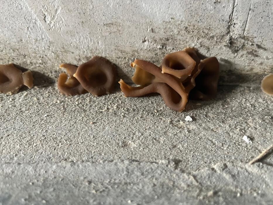 Bilder LOCATEC Schwerin - Wurm Ortungstechnik