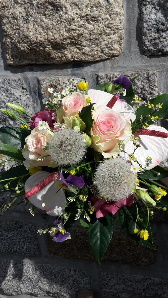 Bilder Blumengeschäft Himmelschlüssel