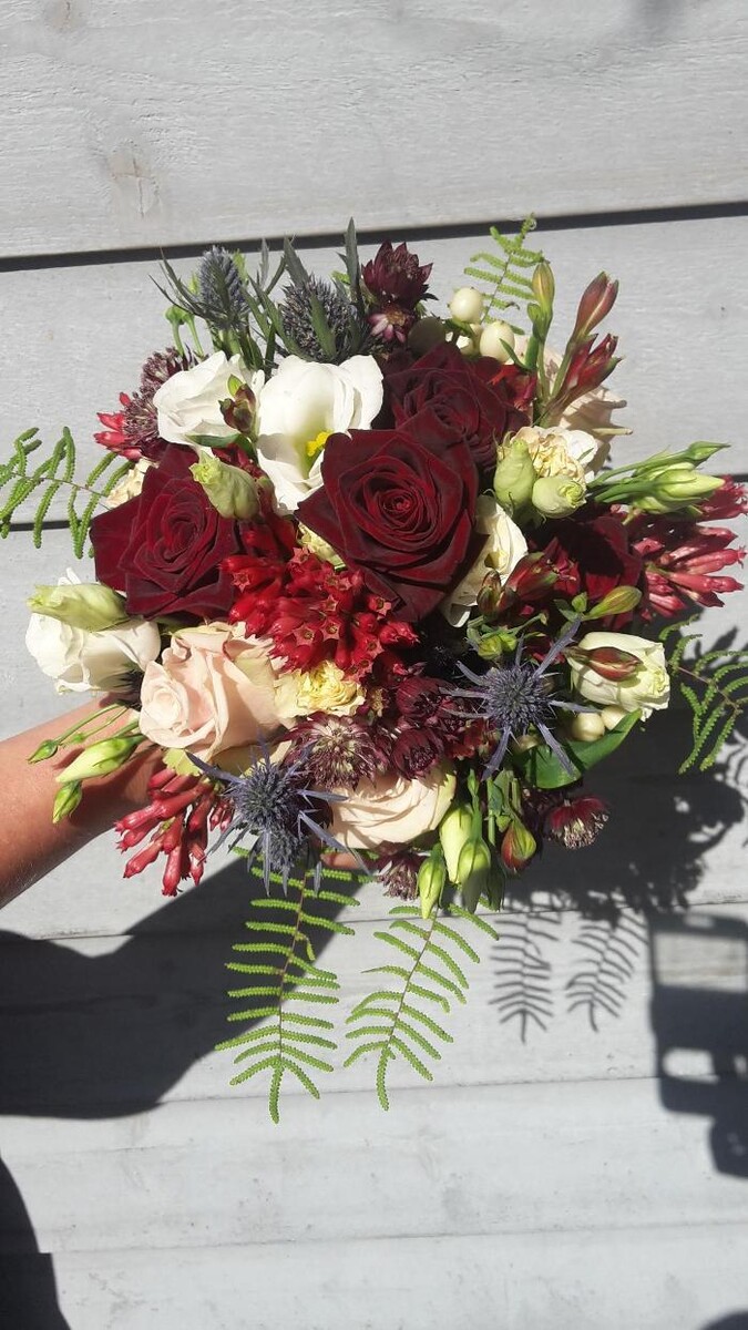 Bilder Blumengeschäft Himmelschlüssel