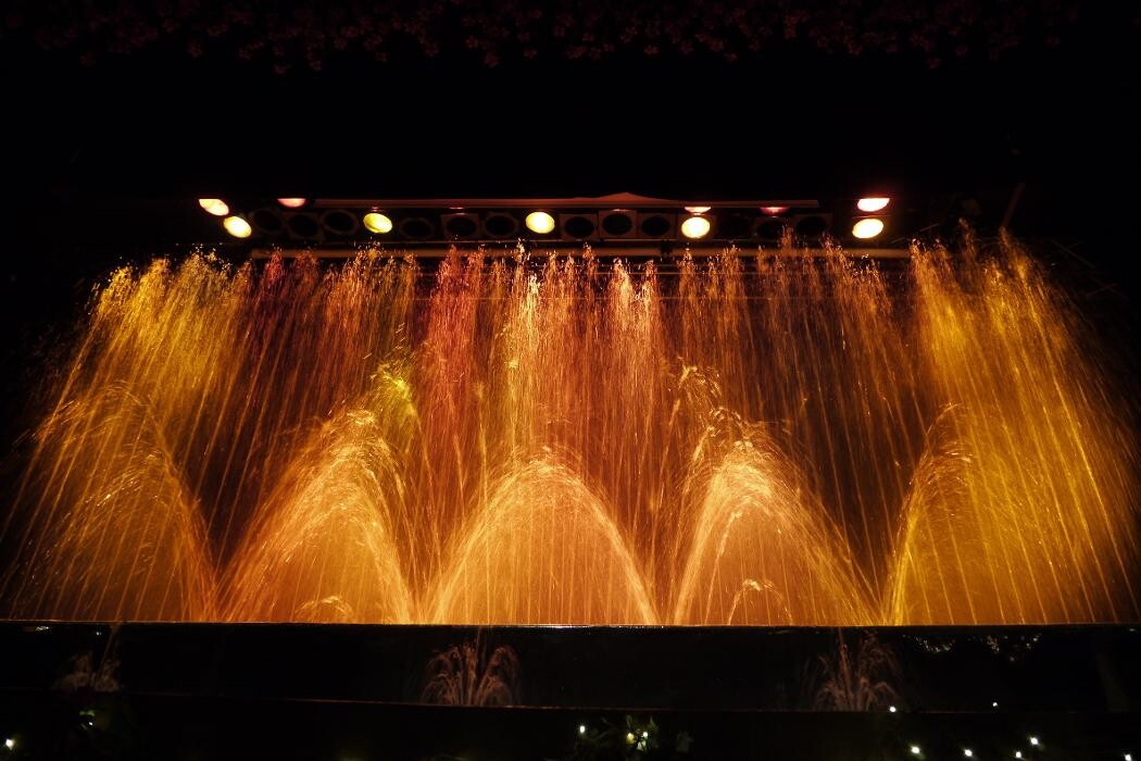 Bilder Klipp´s Wasserwelt