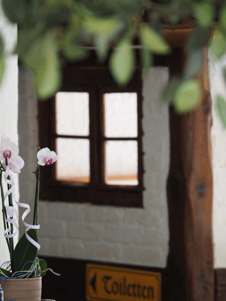 Bilder Hallenser Kartoffelhaus