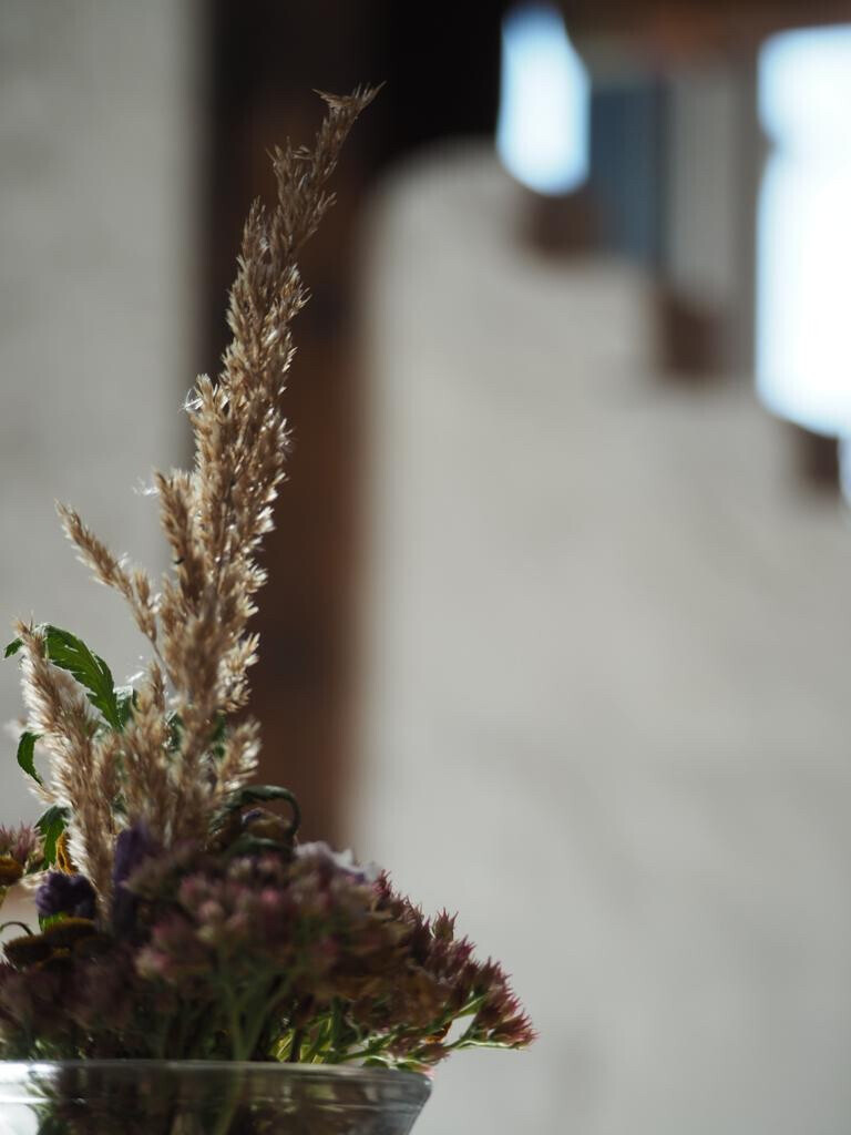 Bilder Hallenser Kartoffelhaus