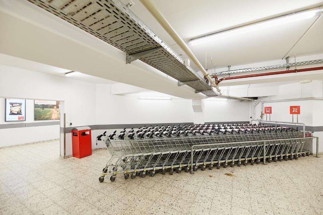 Bilder Kaufland Sondershausen