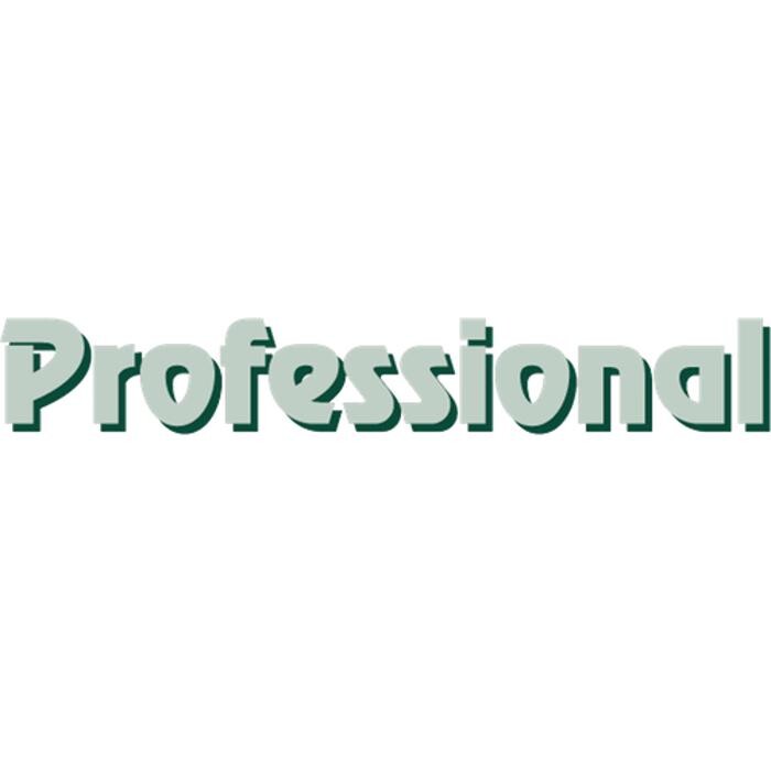 Gebäudereinigung Professional Inh. Ermis Telat Logo