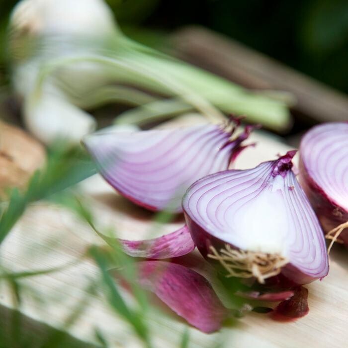 Bilder photograph.x GmbH