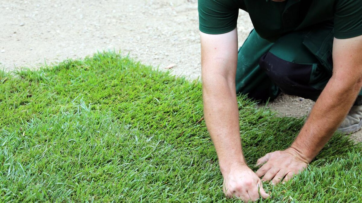 Bilder UTLU Gartengestaltung
