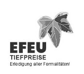 EFEU GmbH Logo