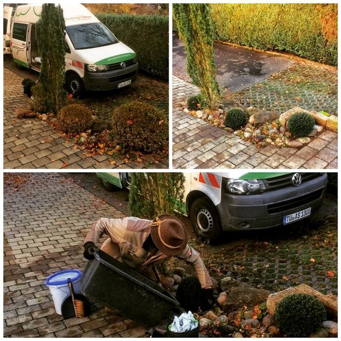 Bilder Andreas Steger, Forst- und Gartenservice