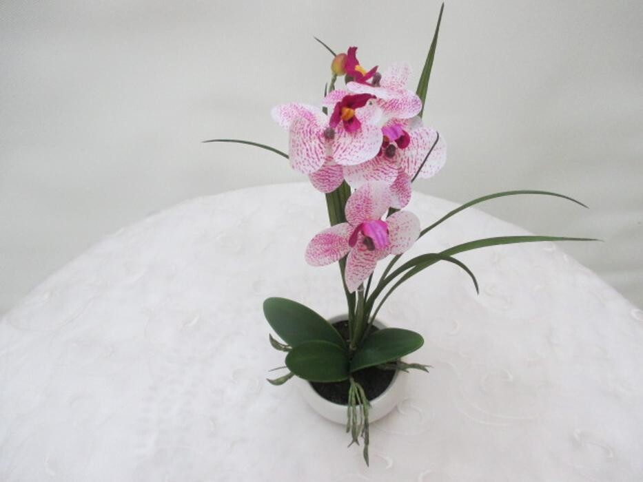 Bilder Sailer´s Geschenkideen OHG