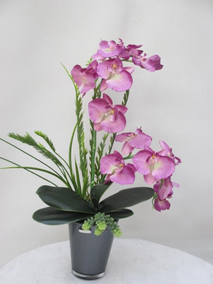 Bilder Sailer´s Geschenkideen OHG