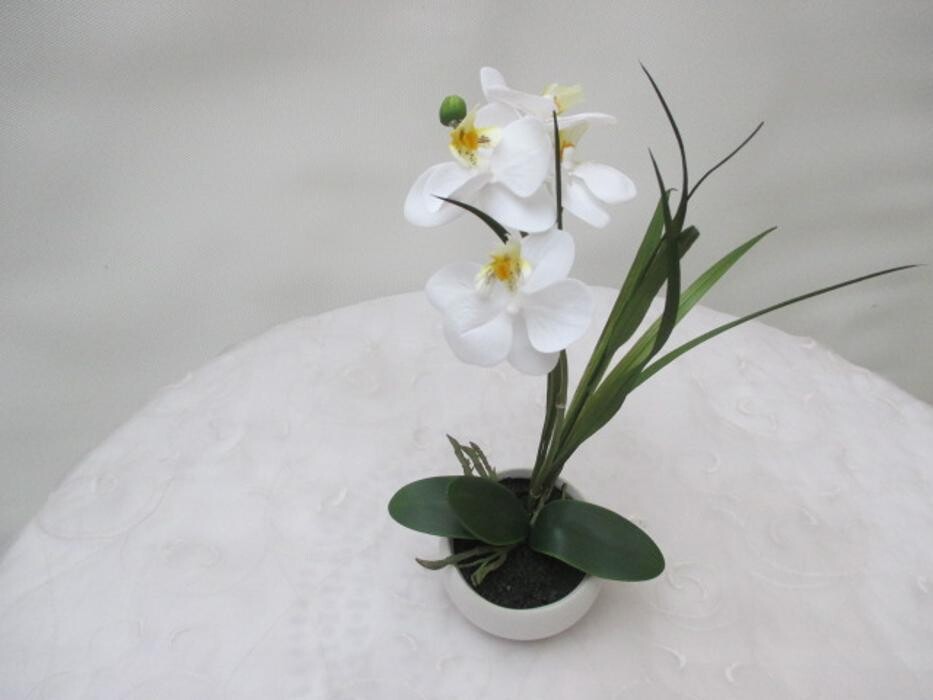 Bilder Sailer´s Geschenkideen OHG