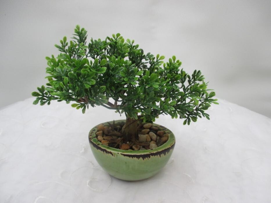 Bilder Sailer´s Geschenkideen OHG