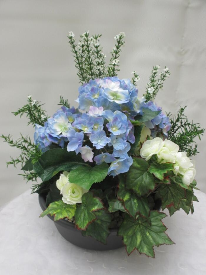 Bilder Sailer´s Geschenkideen OHG