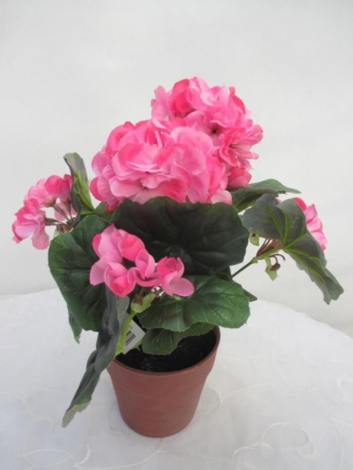 Bilder Sailer´s Geschenkideen OHG