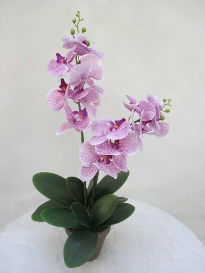 Bilder Sailer´s Geschenkideen OHG