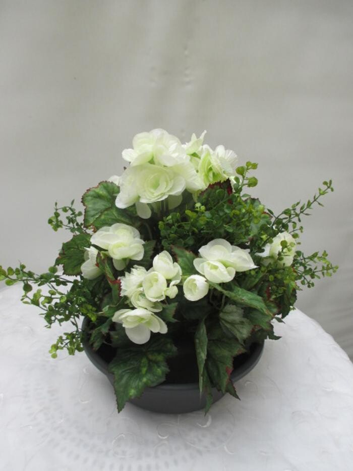Bilder Sailer´s Geschenkideen OHG
