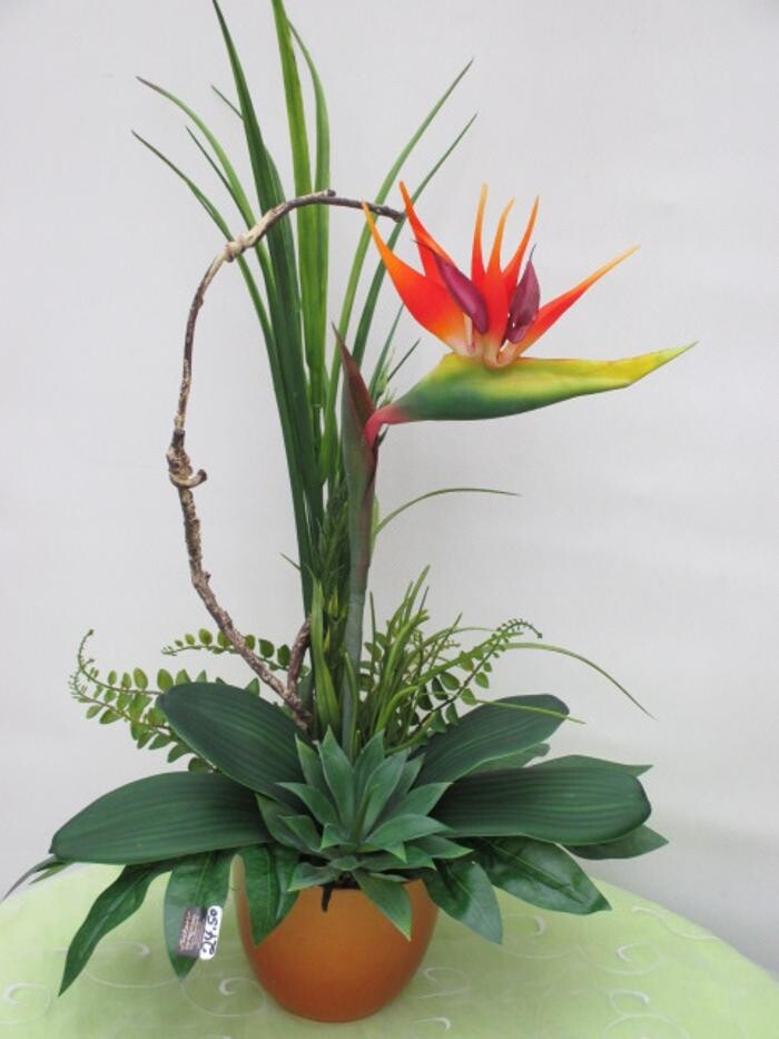 Bilder Sailer´s Geschenkideen OHG