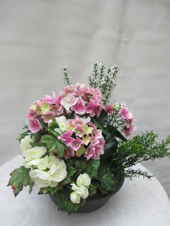 Bilder Sailer´s Geschenkideen OHG