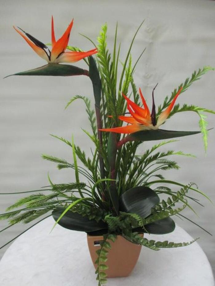 Bilder Sailer´s Geschenkideen OHG