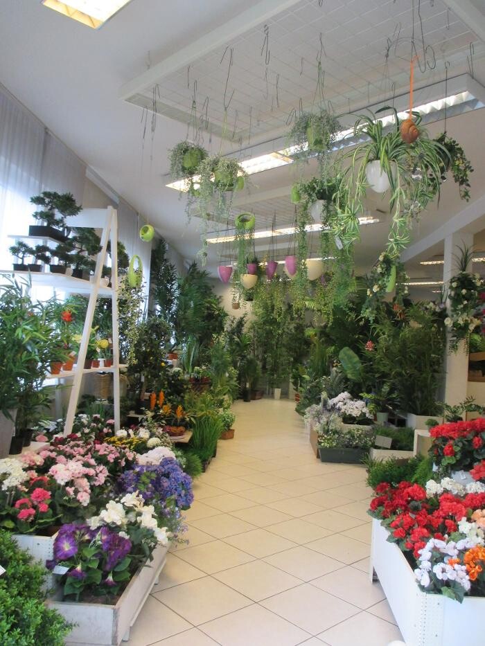 Bilder Sailer´s Geschenkideen OHG
