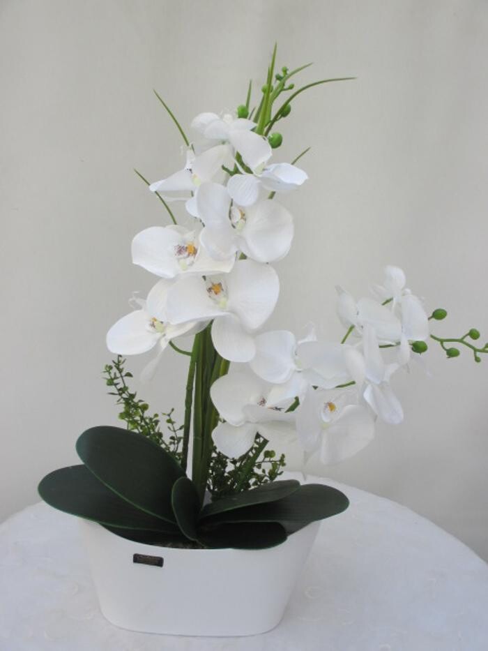 Bilder Sailer´s Geschenkideen OHG