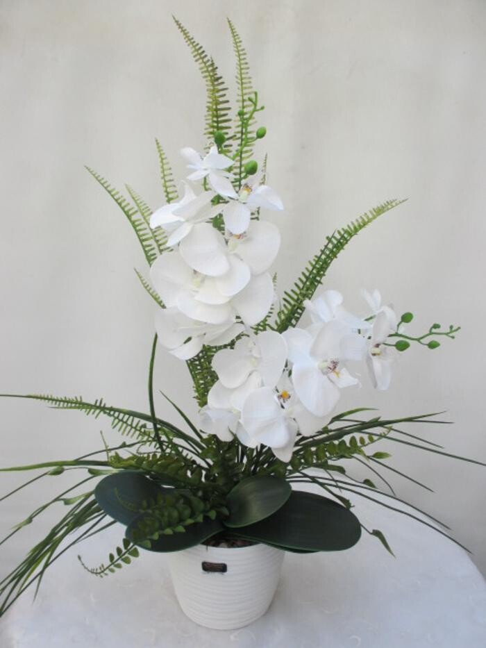 Bilder Sailer´s Geschenkideen OHG