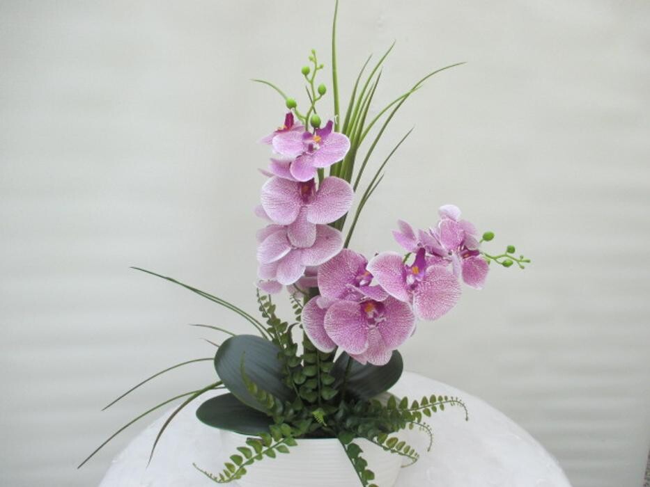 Bilder Sailer´s Geschenkideen OHG