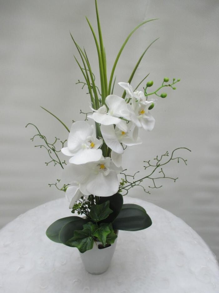 Bilder Sailer´s Geschenkideen OHG