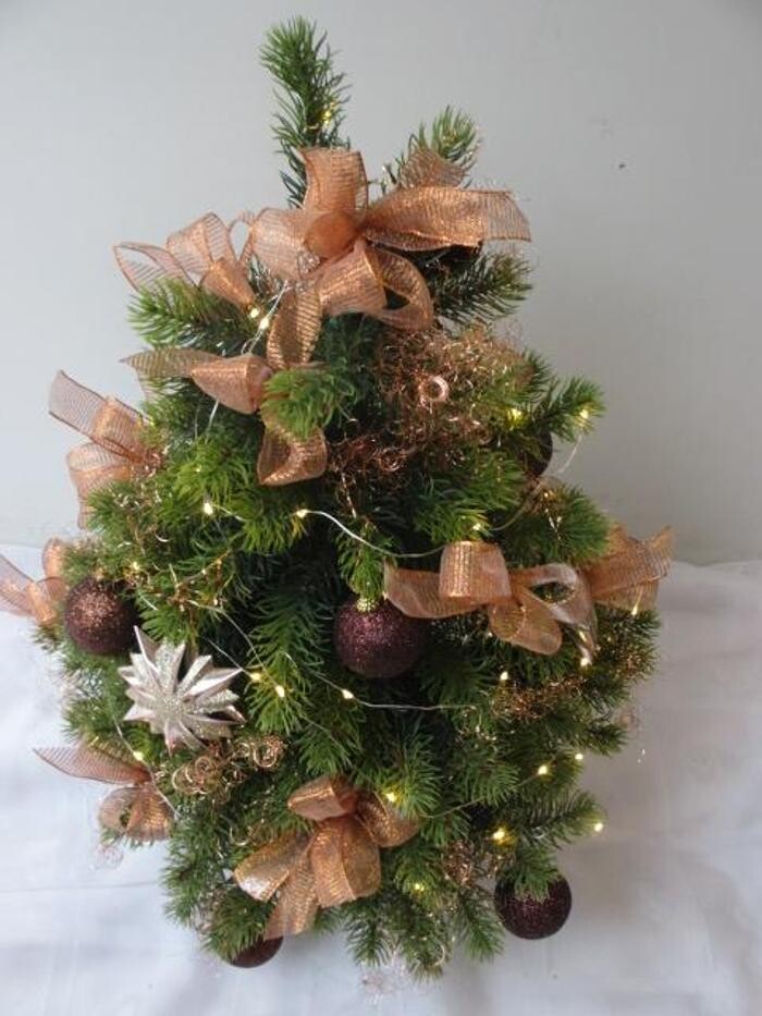 Bilder Sailer´s Geschenkideen OHG