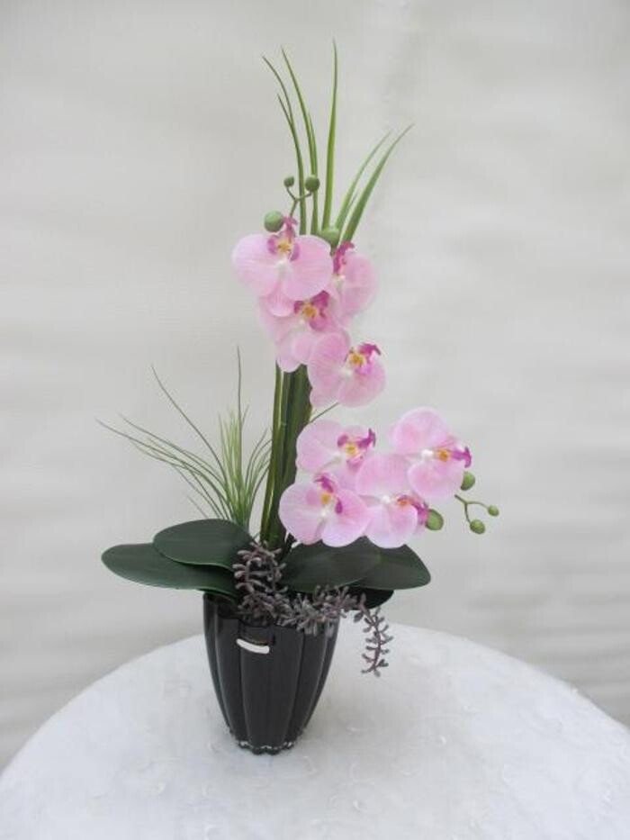 Bilder Sailer´s Geschenkideen OHG