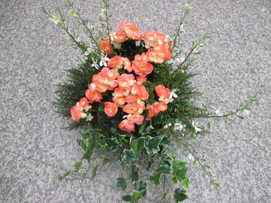 Bilder Sailer´s Geschenkideen OHG