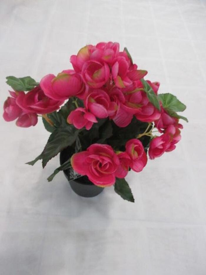 Bilder Sailer´s Geschenkideen OHG