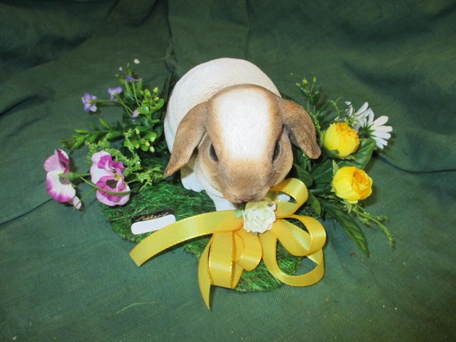 Bilder Sailer´s Geschenkideen OHG