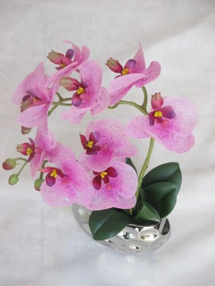 Bilder Sailer´s Geschenkideen OHG