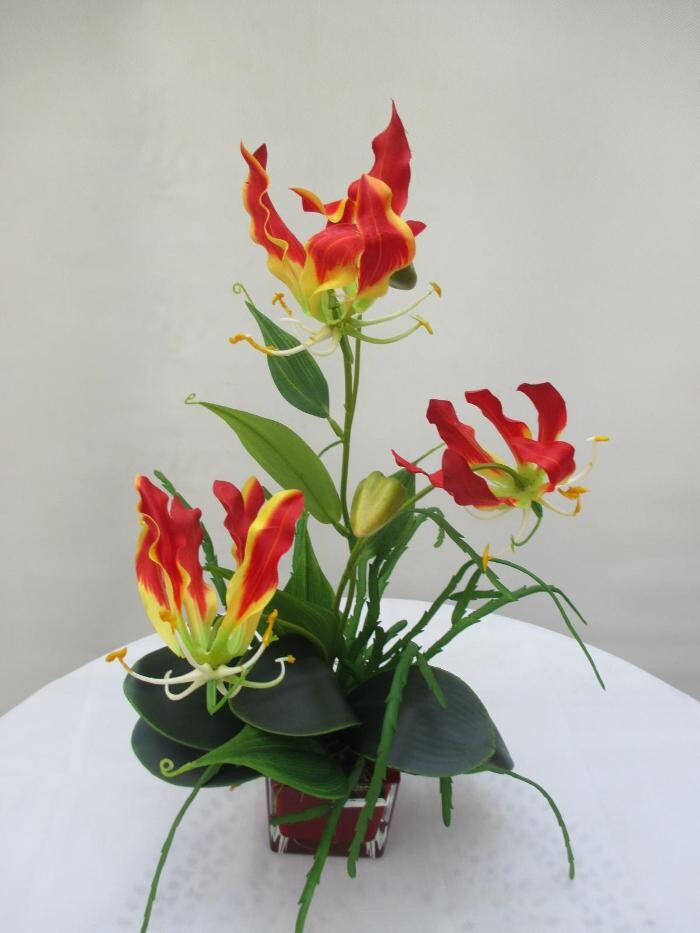 Bilder Sailer´s Geschenkideen OHG