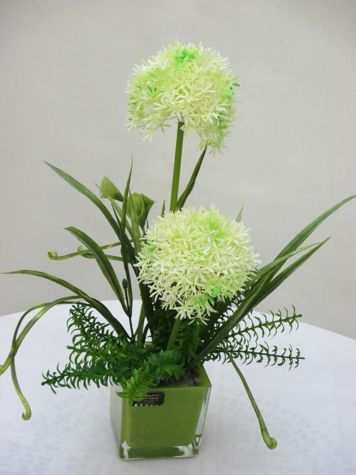 Bilder Sailer´s Geschenkideen OHG