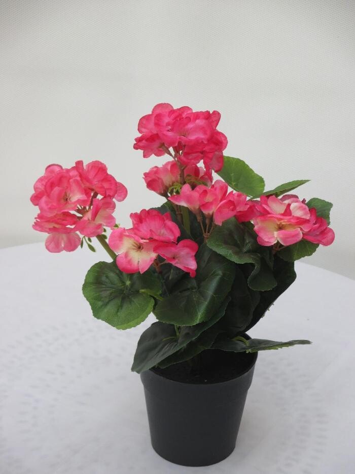 Bilder Sailer´s Geschenkideen OHG